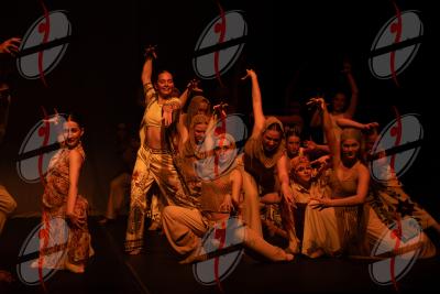 SHOW_00954.jpg